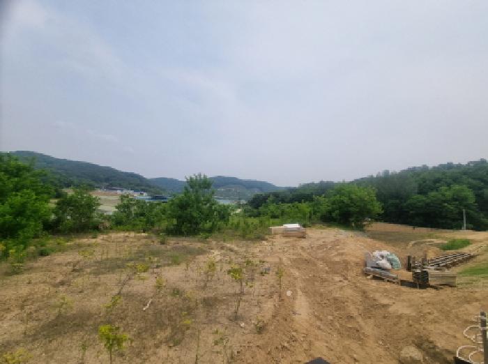 법원경매 2025타경502555 사진72 | 세종 장군면 용암리 임야 경매