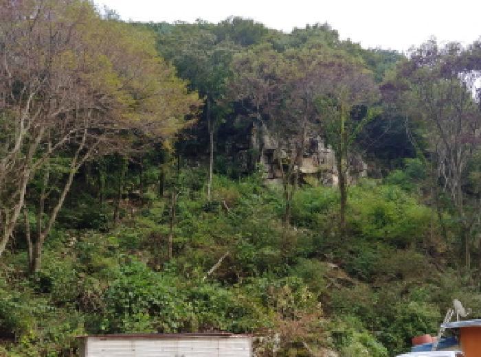 법원경매 2025타경503409 사진9 | 금산군 진산면 삼가리 1 답 경매