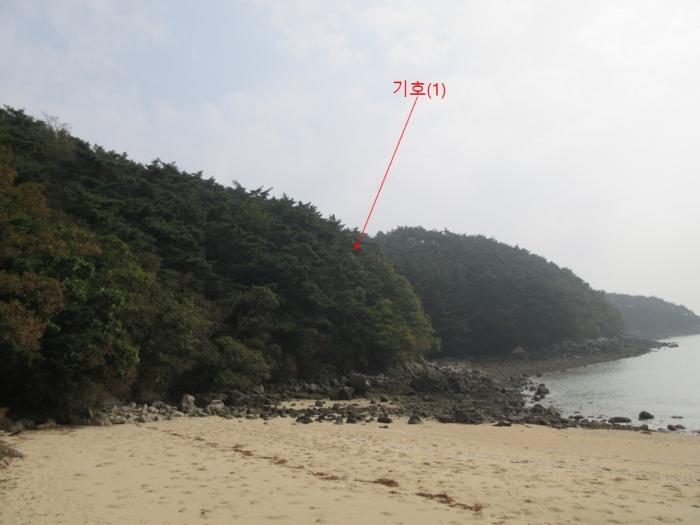 인천 옹진군 덕적면 진리 산61 임야 경매 물건 사진