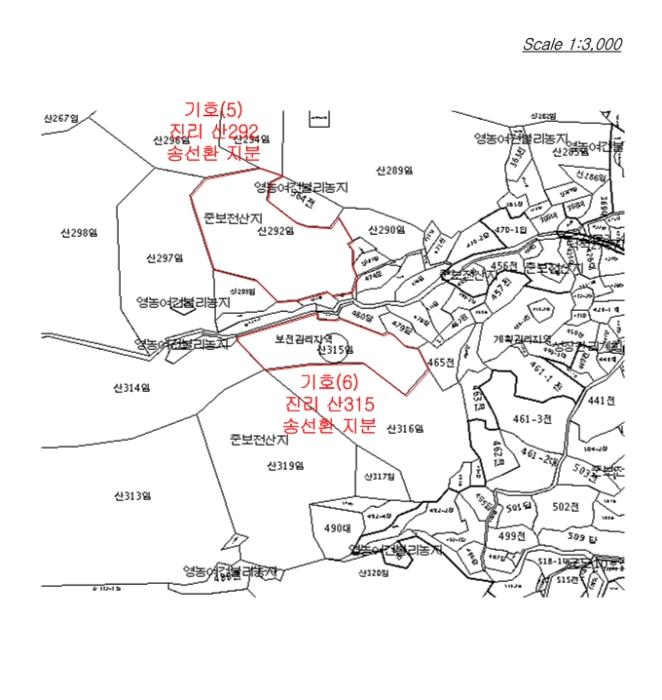 2024타경566921 법원경매 사진28 | 인천 옹진군 임야 경매