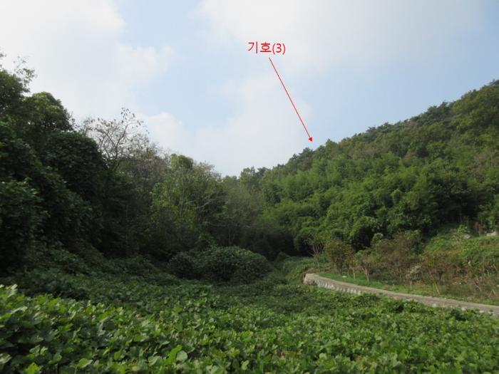 인천 옹진군 덕적면 진리 산61 임야 사진 3