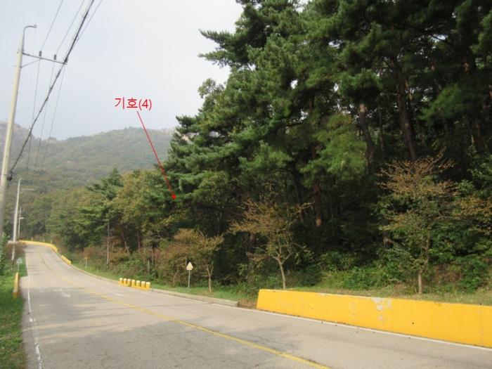 인천 옹진군 덕적면 진리 산61 임야 사진 4