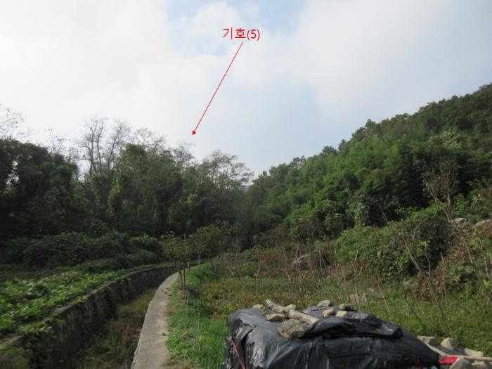 인천 옹진군 덕적면 진리 산61 임야 사진 5