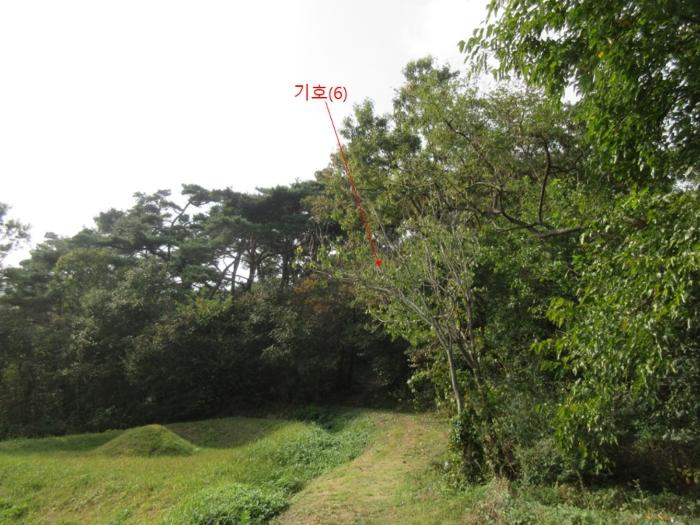 인천 옹진군 덕적면 진리 산61 임야 사진 6
