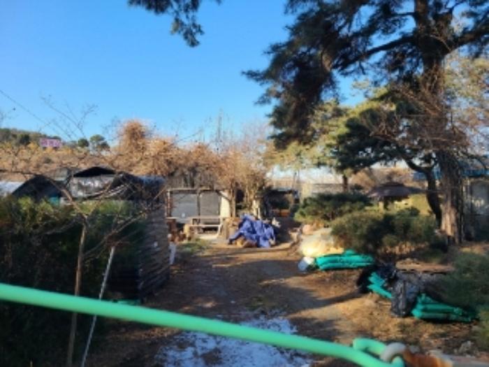 법원경매 2024타경72143 사진21 | 하남시 초이동 89 답 경매