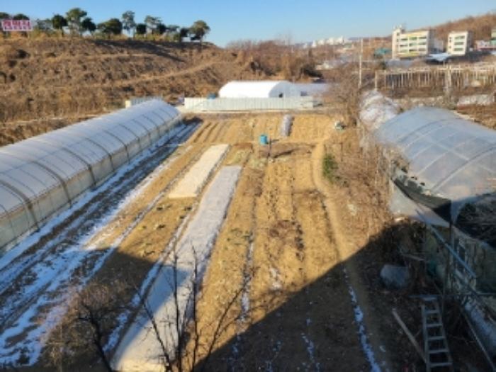 법원경매 2024타경72143 사진22 | 하남시 초이동 89 답 경매