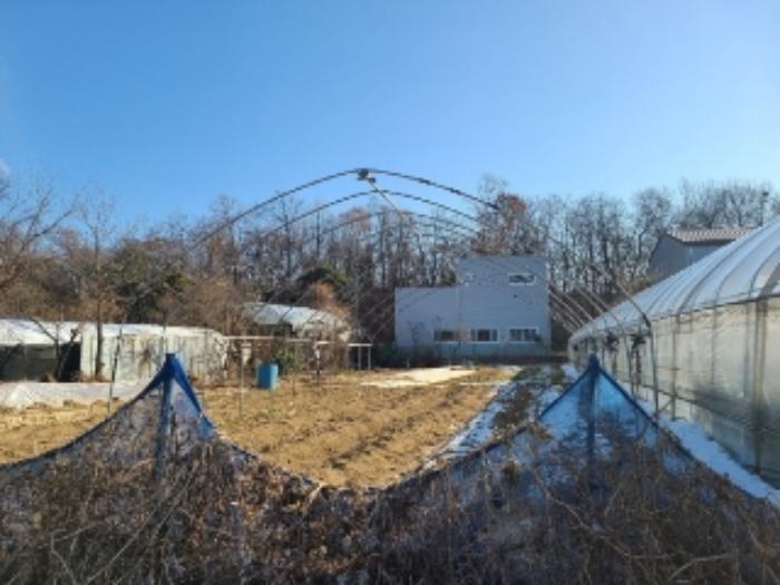 법원경매 2024타경72143 사진23 | 하남시 초이동 89 답 경매