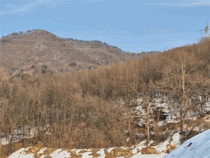 경기도 광주시 곤지암읍 봉현리 23-1 법원경매 물건 대표사진