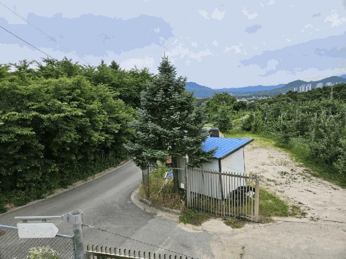 법원경매 2025타경1265 사진37 | 춘천시 동내면 과수원 경매