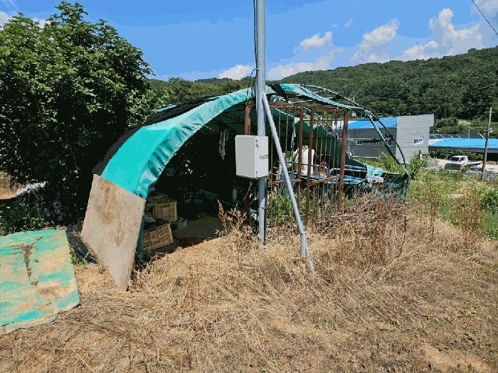 법원경매 2025타경1265 사진79 | 춘천시 동내면 과수원 경매
