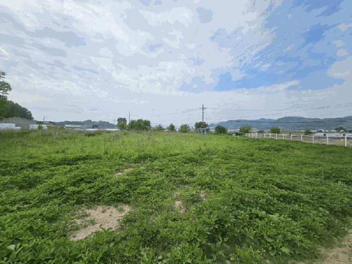2025타경996 법원경매 사진5 | 충북 충주시 전 경매