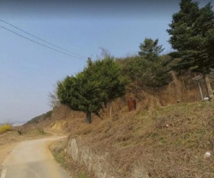 2025타경30465 법원경매 사진3 | 충북 음성군 임야 경매