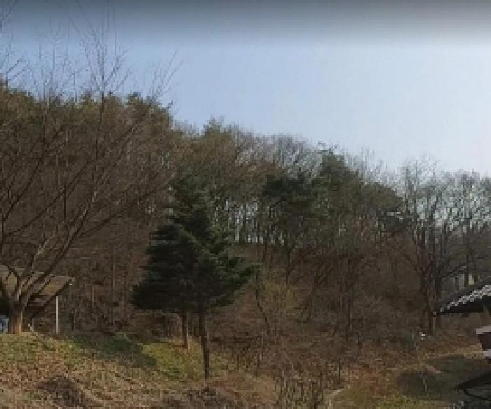 2025타경30465 법원경매 사진4 | 충북 음성군 임야 경매
