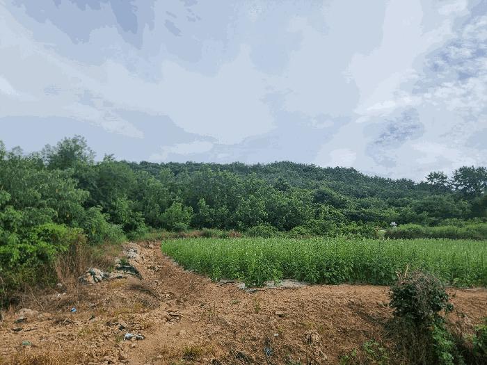 2025타경445 법원경매 사진2 | 전남 함평군 전 경매