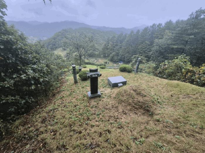 법원경매 2025타경50878 사진2 | 춘천시 남산면 방곡리 임야 경매