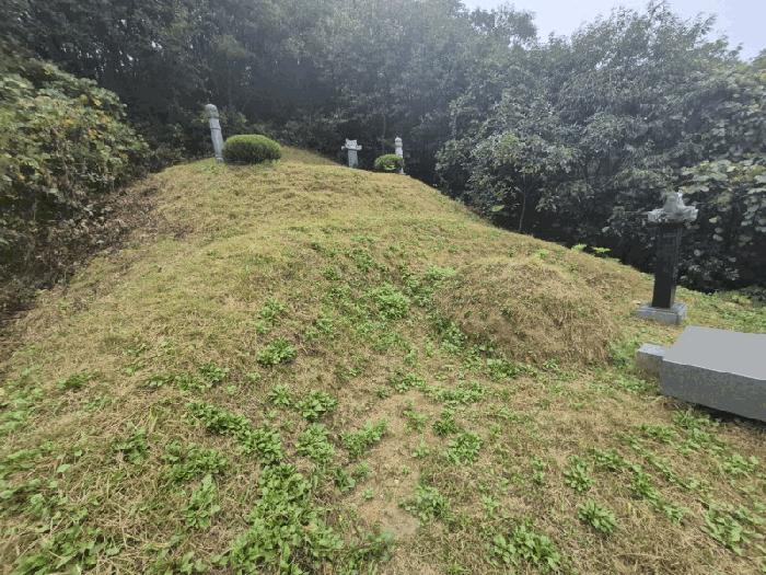 법원경매 2025타경50878 사진3 | 춘천시 남산면 방곡리 임야 경매