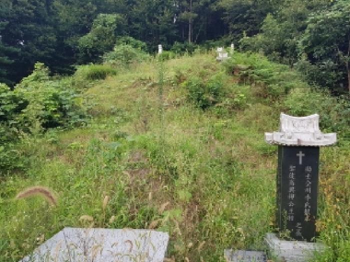 법원경매 2025타경50878 사진4 | 춘천시 남산면 방곡리 임야 경매
