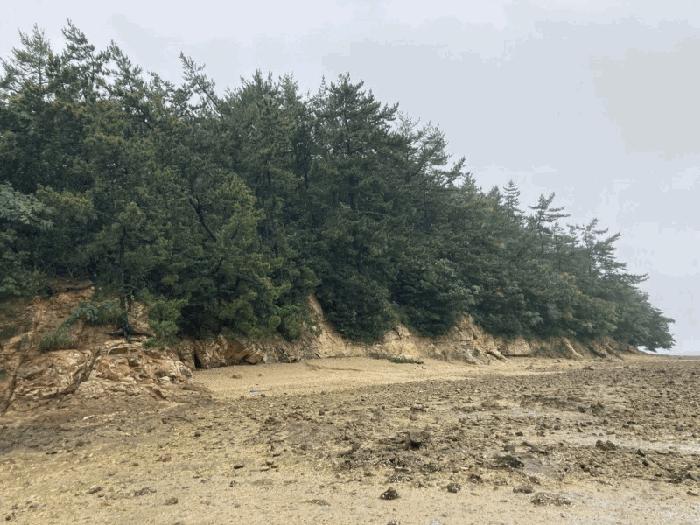 2025타경51271 법원경매 사진4 | 전남 신안군 임야 경매