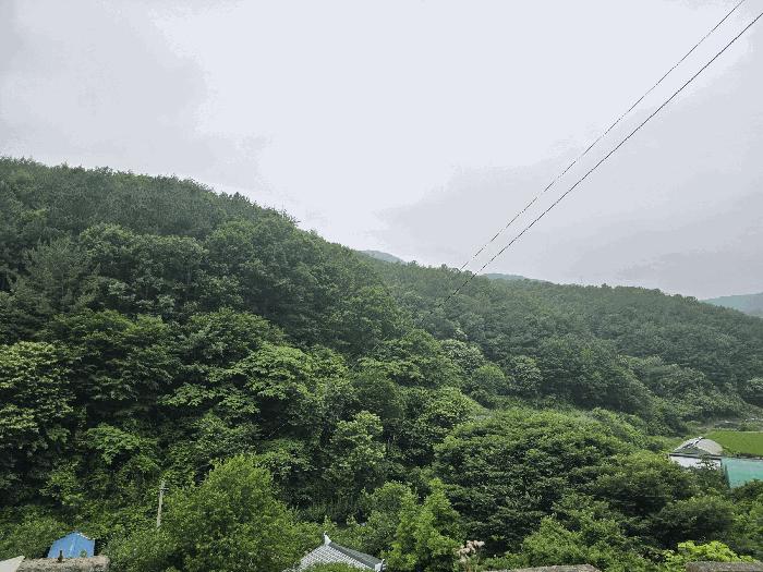 2025타경51387 법원경매 사진12 | 전남 광양시 임야 경매