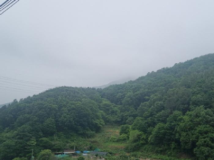 2025타경51387 법원경매 사진30 | 전남 광양시 임야 경매