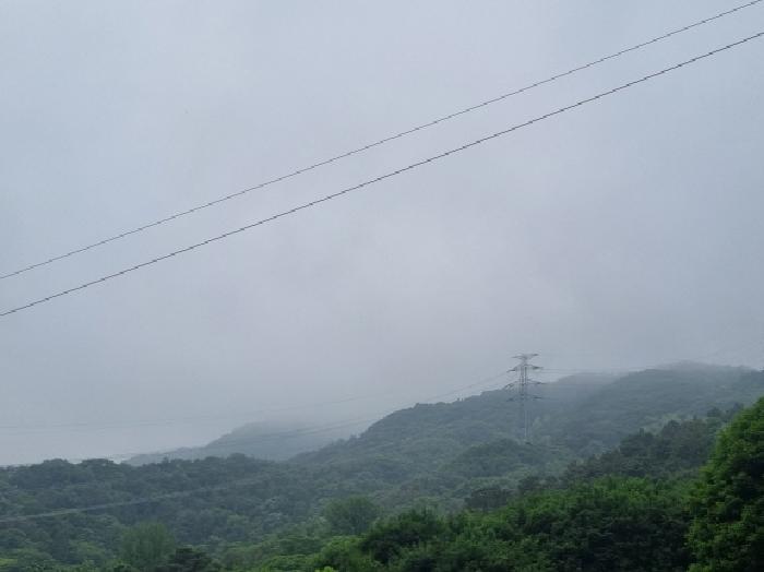 2025타경51387 법원경매 사진59 | 전남 광양시 임야 경매