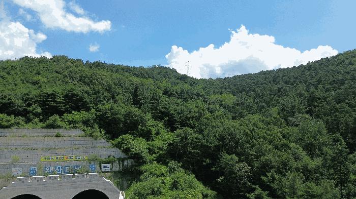 2025타경31539 법원경매 사진3 | 전주 완산구 임야 경매