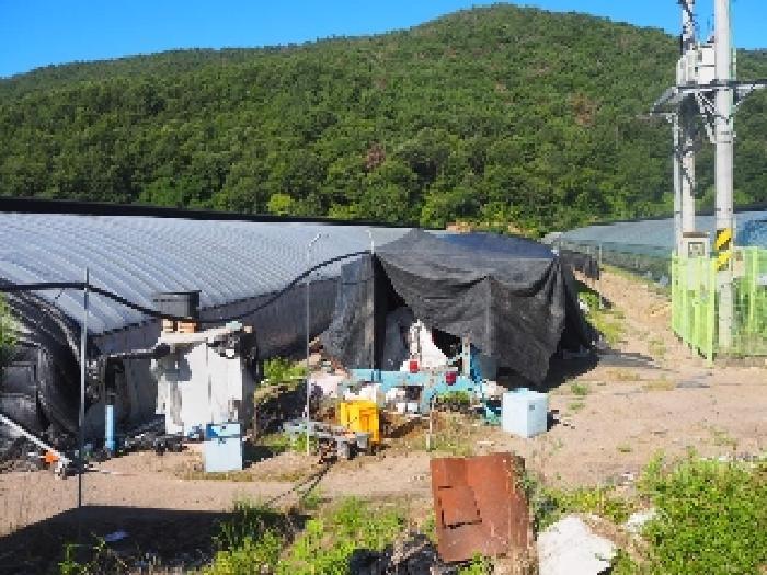 2025타경1462 법원경매 사진5 | 경남 밀양시 전답 경매