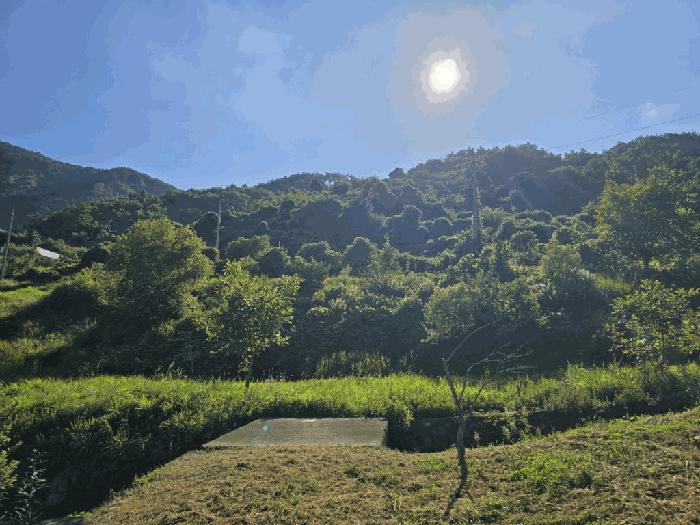2025타경1493 법원경매 사진3 | 경남 밀양시 답 경매