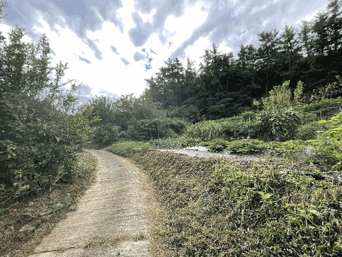 2025타경52000 법원경매 사진3 | 전남 고흥군 대지 경매