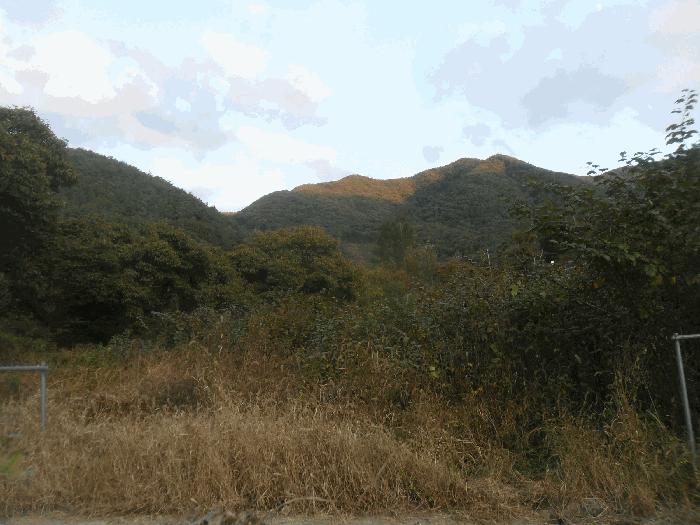 경상남도 밀양시 단장면 국전리 464 법원경매 물건 대표사진