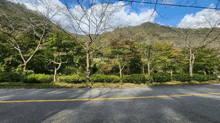2025타경52168 법원경매 사진2 | 전남 보성군 답 경매
