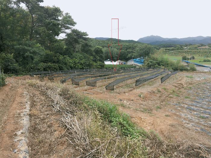 전북특별자치도 정읍시 농소동 48-165 법원경매 물건 대표사진