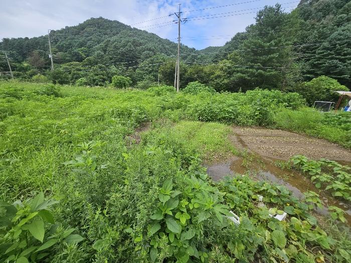 법원경매 2024타경82615 사진3 | 포천시 신북면 삼정리 326 대지 경매