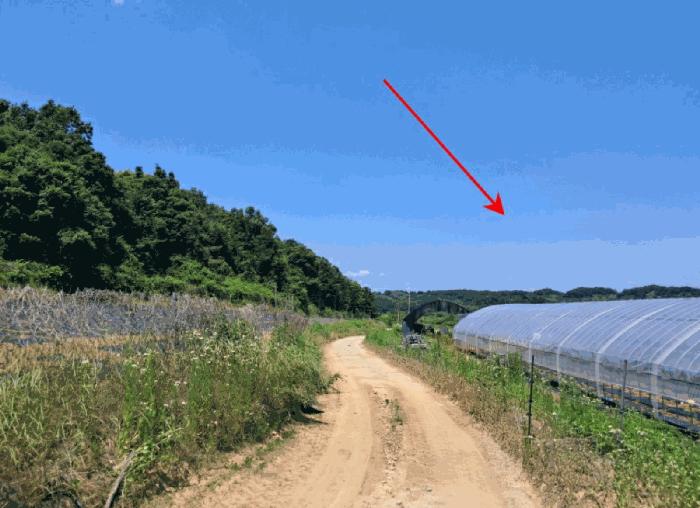 법원경매 2025타경72407 사진3 | 연천군 왕징면 강내리 771 답 경매