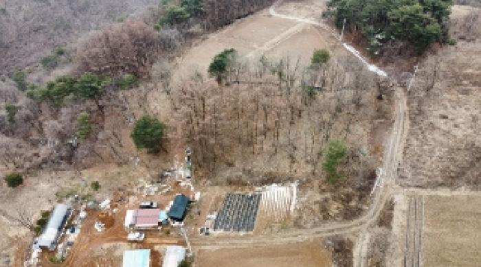 법원경매 2025타경295 사진7 | 영월군 영월읍 삼옥리 임야 경매