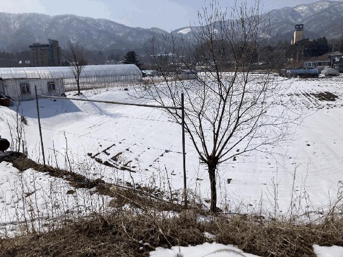 법원경매 2025타경30398 사진2 | 평창군 봉평면 무이리 804-9 답 경매