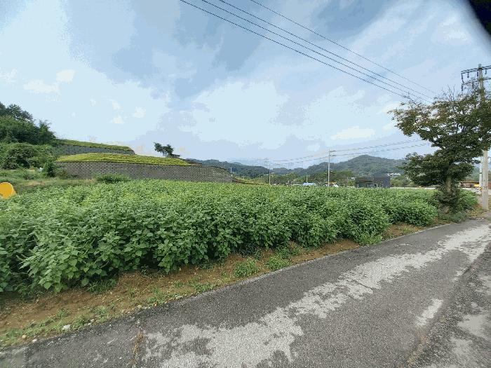 2025타경1061 법원경매 사진3 | 충남 예산군 전 경매