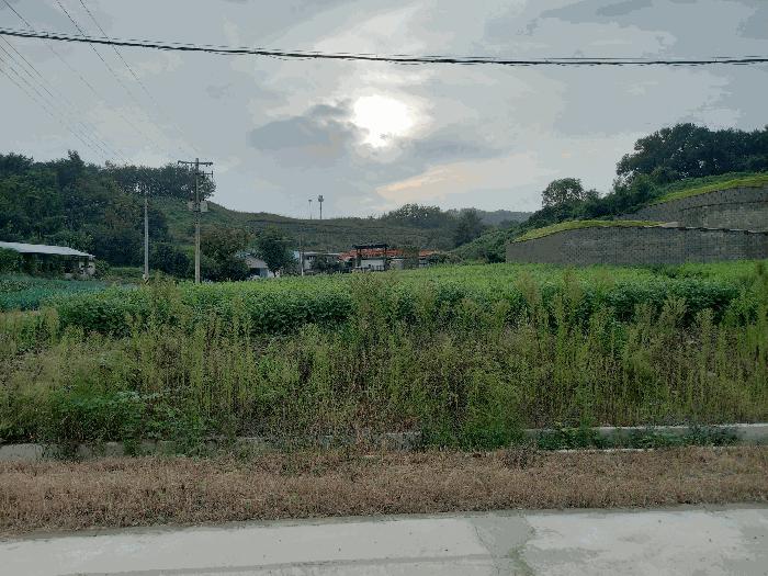 충청남도 예산군 응봉면 신리 145 법원경매 물건 대표사진