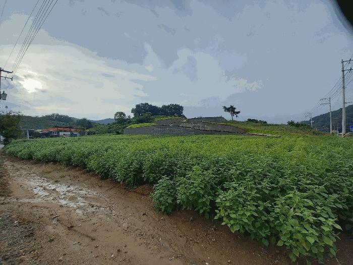 2025타경1061 법원경매 사진4 | 충남 예산군 대지 경매
