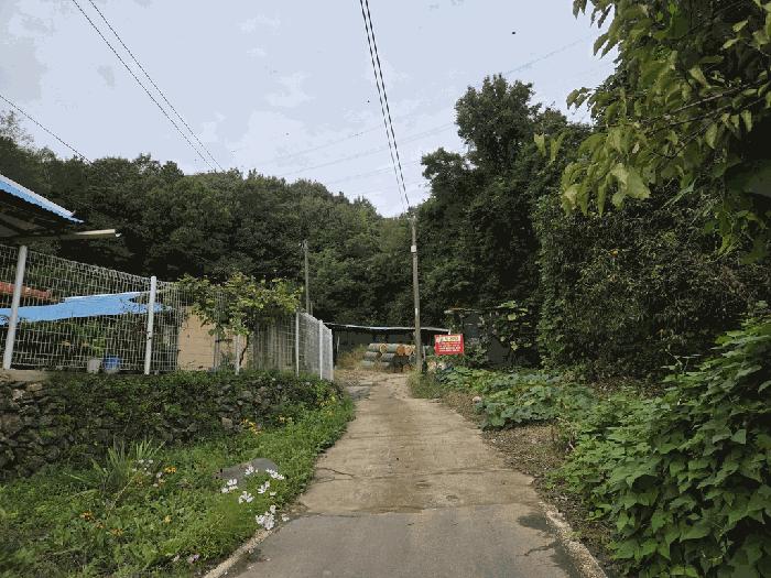 2025타경51761 법원경매 사진4 | 청주 청원구 대지 경매