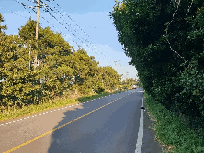 2025타경1254 법원경매 사진2 | 제주 제주시 목장용지 경매