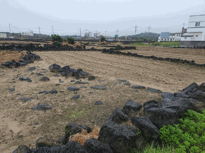 2025타경1264 법원경매 사진2 | 제주 제주시 대지 경매