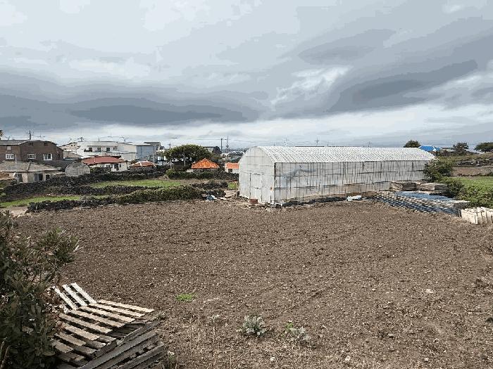 2025타경1274 법원경매 사진2 | 제주 제주시 전 경매