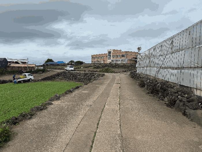 2025타경1274 법원경매 사진3 | 제주 제주시 전 경매