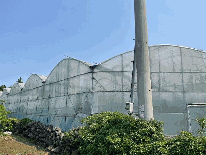 2025타경1325 법원경매 사진3 | 제주 서귀포시 과수원 경매