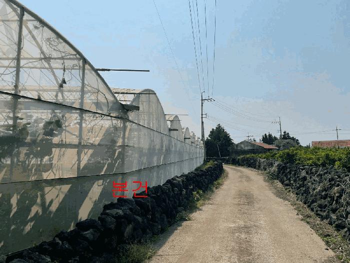 2025타경1325 법원경매 사진4 | 제주 서귀포시 과수원 경매