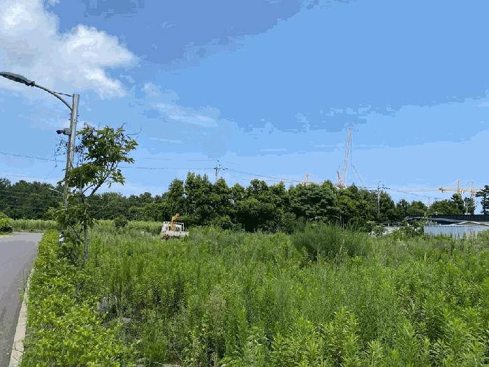 제주 제주시 오등동 1487-4 전 사진 6