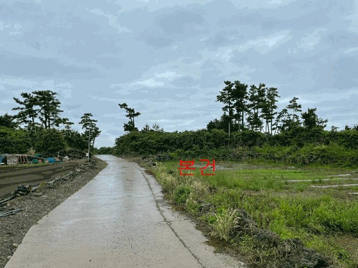 2025타경1352 법원경매 사진3 | 제주 제주시 전 경매