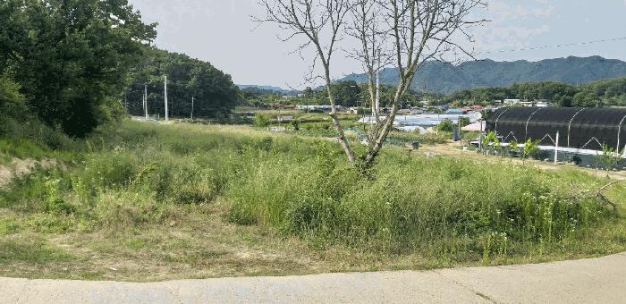 충청북도 옥천군 동이면 금암리 1099-2 법원경매 물건 대표사진