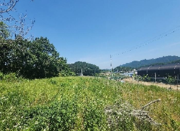 2025타경10146 법원경매 사진5 | 충북 옥천군 전답 경매